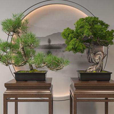 新中式柏松盆栽 盆景