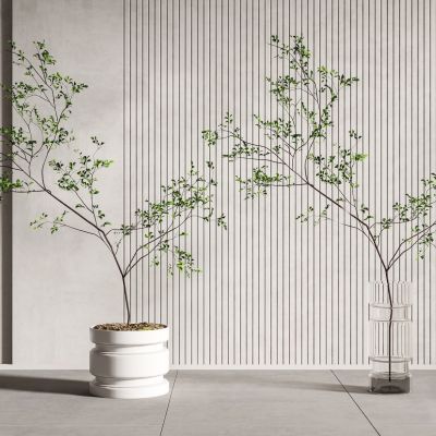 现代盆栽 玻璃花瓶 水生植物