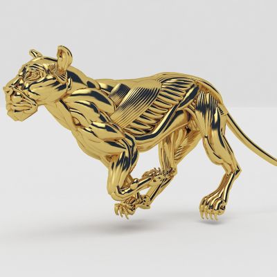 狮子，金属雕塑，母狮子，石狮子，狮子雕塑，动物雕塑，摆件，陈设，门狮，装置，铜狮，景观雕塑，吉祥物，辟邪神兽，铁狮子，金属狮子