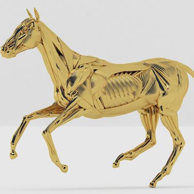 马，马雕塑，金属马，动物雕塑，动物标本，骏马，大马，奔跑，奔腾，石雕，石像，摆件，陈设，装饰，装置，公共艺术，装置艺术，美陈