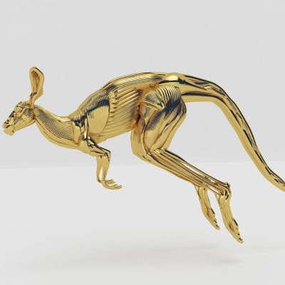 袋鼠，红袋鼠，大赤袋鼠，东部灰大袋鼠，西部灰大袋鼠，麝香袋鼠，澳洲袋鼠，澳大利亚袋鼠，动物标本，雕塑雕像，动物园，陈设饰品，玩具玩偶