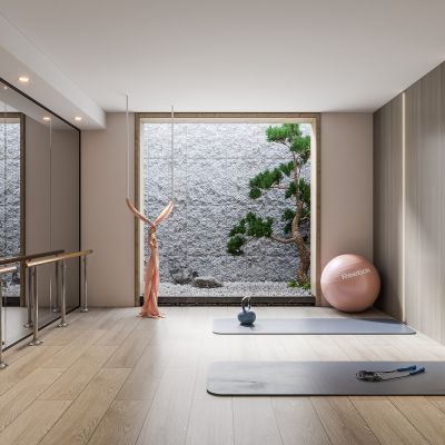 现代瑜伽室,健身器械,瑜伽垫,瑜伽球,把杆,镜子,反重力吊床