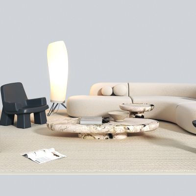 现代沙发茶几组合，休闲椅，茶几，落地灯，摆件