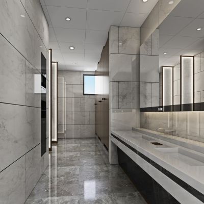 现代公共卫生间