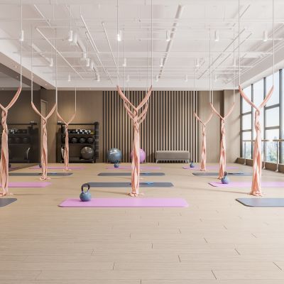 工业风瑜伽室,健身器械,瑜伽垫,瑜伽球,把杆,镜子,反重力吊床