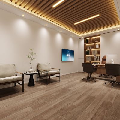 现代园长室，办公室，经理办公室