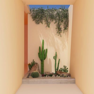 现代室内仙人掌景观造景