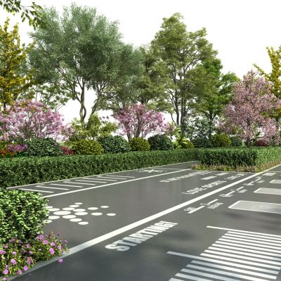 现代园区景观植物