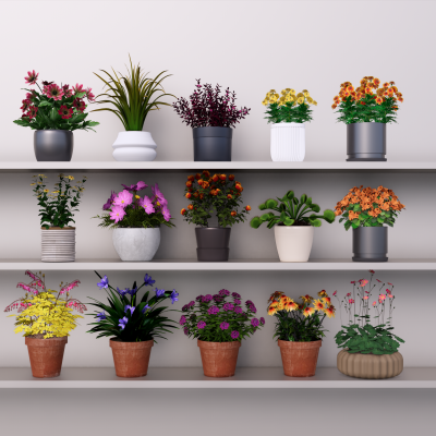 盆栽-花卉3D模型