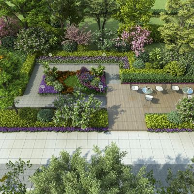 现代园林景观植物