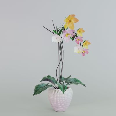 现代花瓶花艺插花