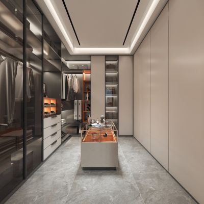 现代衣帽间 衣柜 服饰 包包箱子 