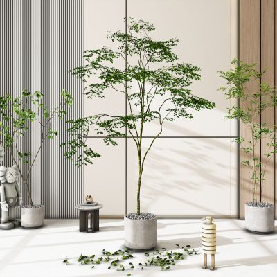 现代盆栽，绿植，树，花盆，植物，绿植摆件，花草，盆景，植物摆件，饰品，花