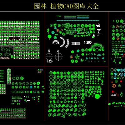 园林 植物CAD图库大全
