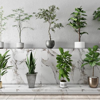 现代盆栽，绿植，树，花盆，植物，绿植摆件，花草，盆景，植物摆件，饰品，花