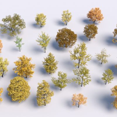 现代黄色树