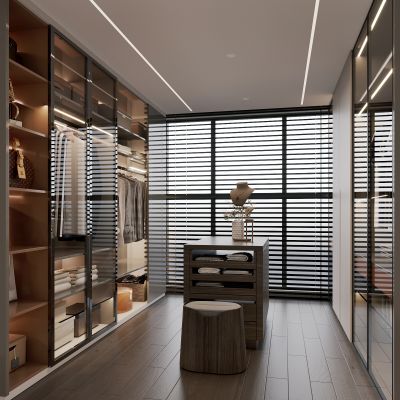 现代衣帽间