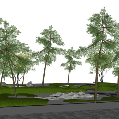 景观微地形 铺装