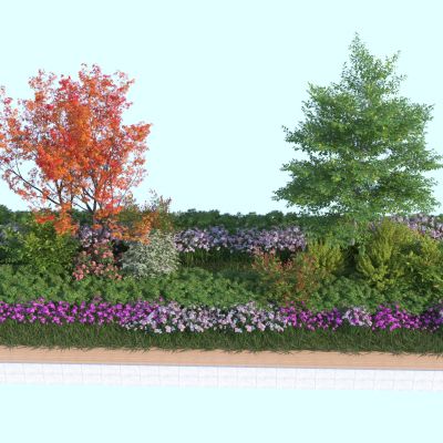 现代花坛植物组合