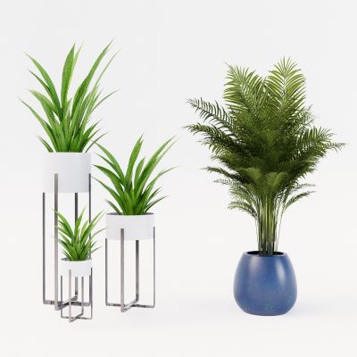 现代盆栽 绿植组合