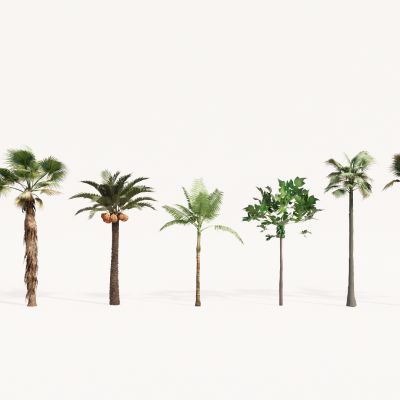 现代植物组合 园林植物