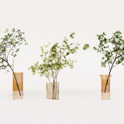 现代绿植 饰品 摆件植物组合