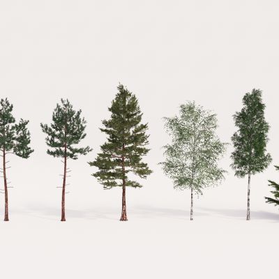 现代植物组合 园林植物