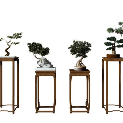 新中式松树盆栽