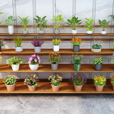 现代置物架盆栽花卉盆栽小盆栽盆景绿植盆栽花盆