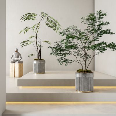 现代轻奢绿植盆栽组合