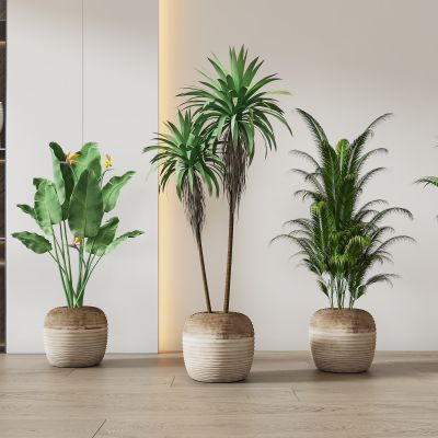 现代轻奢绿植组合