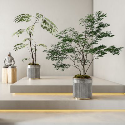 现代轻奢绿植盆栽组合