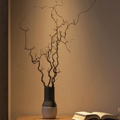 侘寂干枝摆件组合