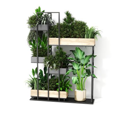 现代植物架