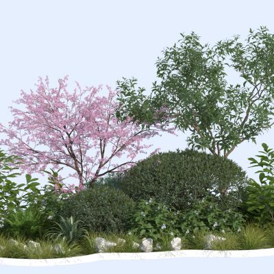 现代植物绿植造景