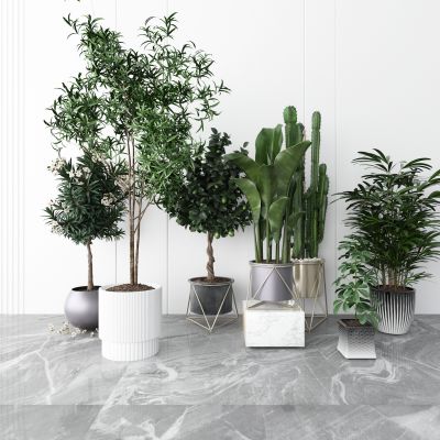 现代绿植盆栽下载