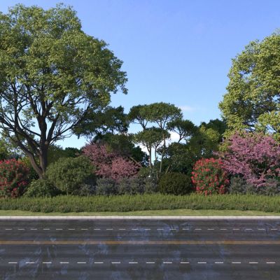 现代乔木 景观组合