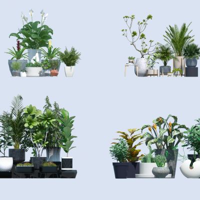 现代盆栽组合