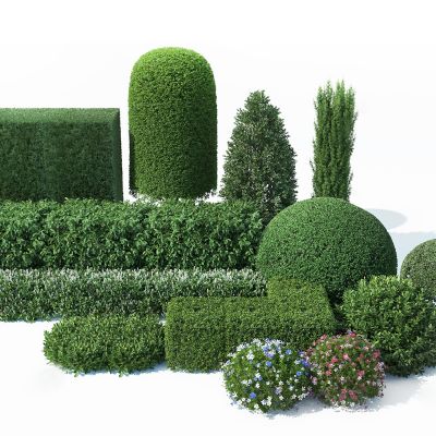 3d模型3d模型id:248733vr现代灌木乔木组合3d模型id:248738vr现代灌木