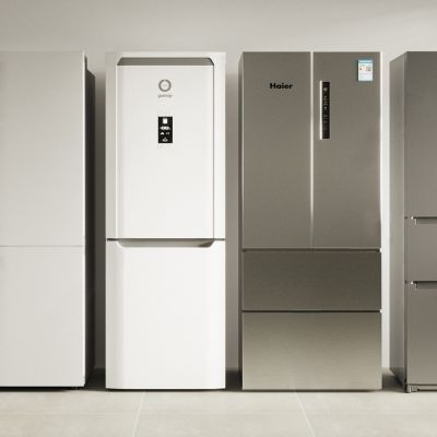 双开门冰箱 冰柜