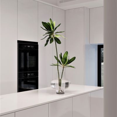 现代玻璃瓶水培植物