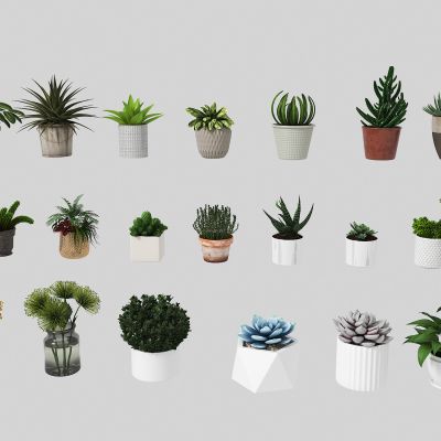 现代桌面小盆栽_花瓶_小绿植