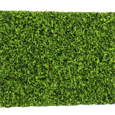 现代绿植墙_景观墙_植物墙