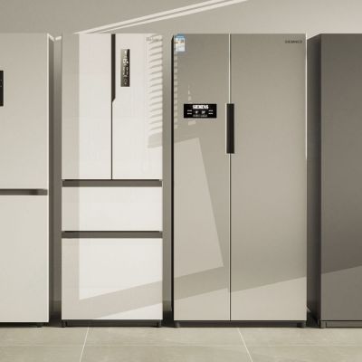 双开门冰箱 冰柜