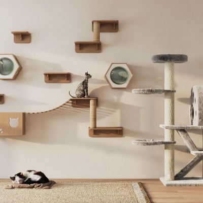 奶油风猫爬架 猫窝