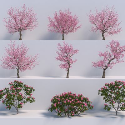 现代花树3D模型