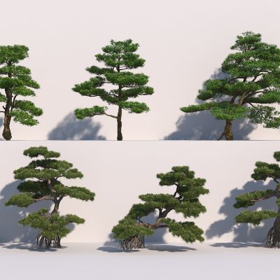 现代松树3D模型