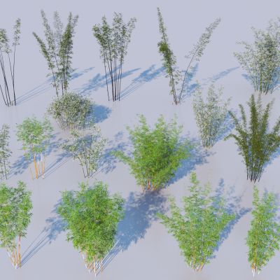 现代竹子3D模型