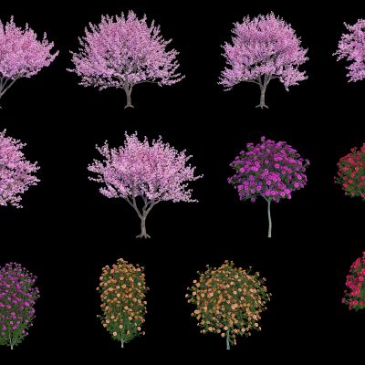 现代樱花树 花球树3D模型