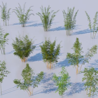 现代竹子3D模型